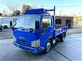 2019 Isuzu Elf Truck