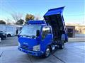 2019 Isuzu Elf Truck
