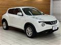 2013 Nissan Juke