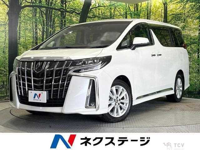 2019 Toyota Alphard G