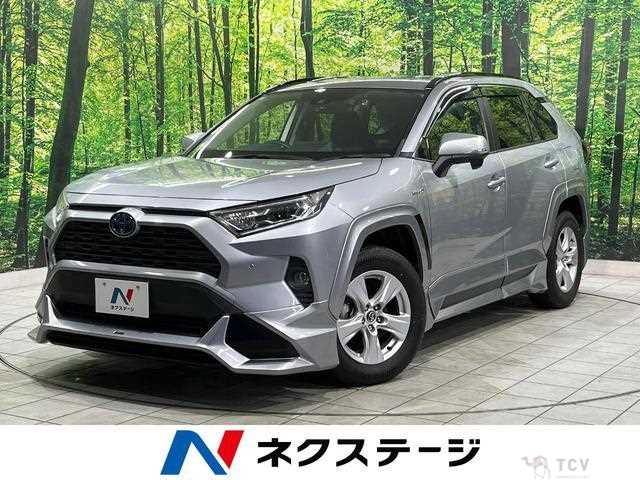 2019 Toyota RAV4