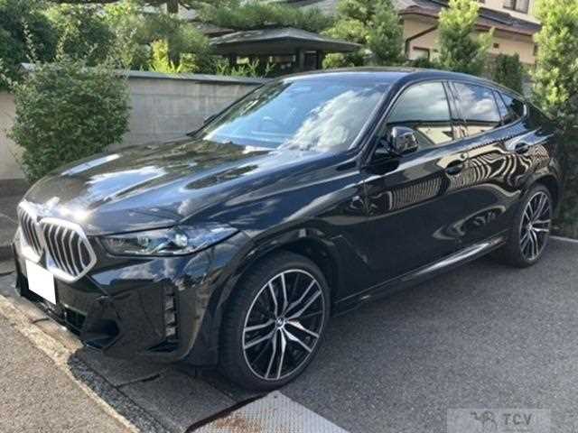 2025 BMW X6