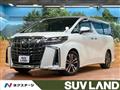 2019 Toyota Alphard G