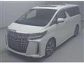 2021 Toyota Alphard G