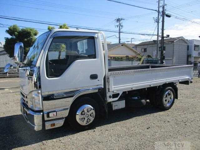 2017 Isuzu Elf Truck