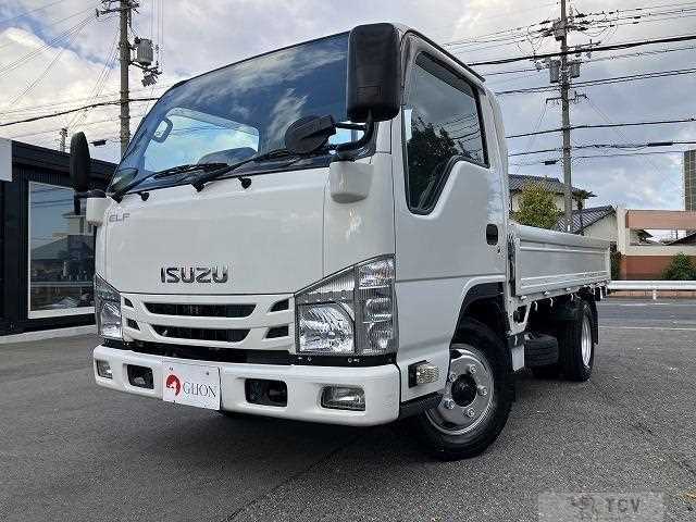 2020 Isuzu Elf Truck