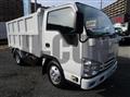 2018 Isuzu Elf Truck