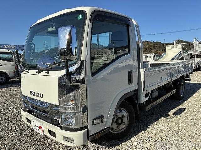 2020 Isuzu Elf Truck