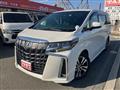 2020 Toyota Alphard G