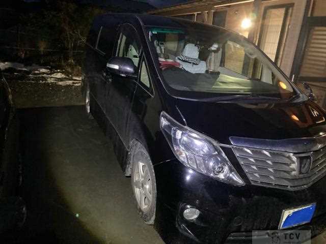 2009 Toyota Alphard G