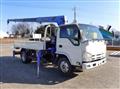 2009 Isuzu Elf Truck