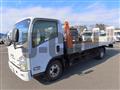 2009 Isuzu Elf Truck