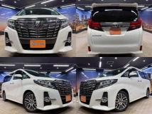 2015 Toyota Alphard G