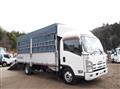 2013 Isuzu Elf Truck