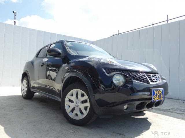 2011 Nissan Juke