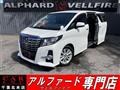2017 Toyota Alphard G
