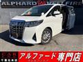 2019 Toyota Alphard G
