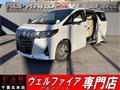2018 Toyota Alphard G