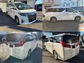 2018 Toyota Alphard G
