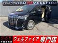 2018 Toyota Alphard Hybrid