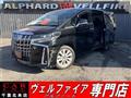 2019 Toyota Alphard G