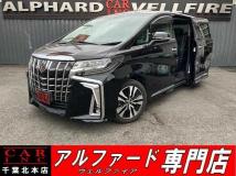 2019 Toyota Alphard G