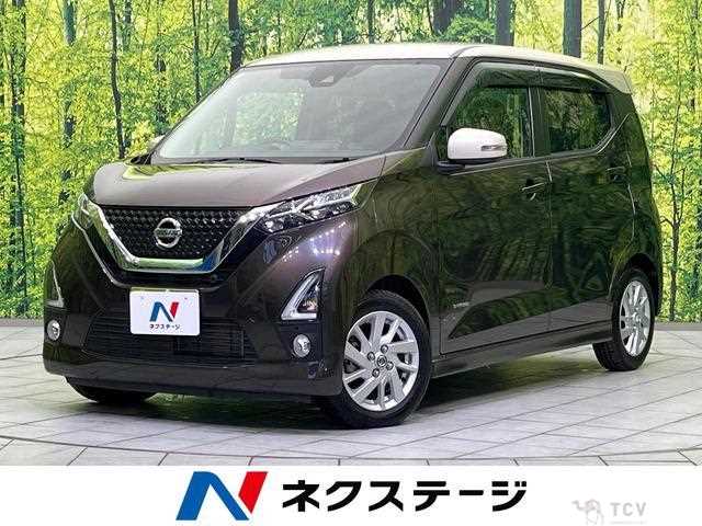 2019 Nissan Nissan Others