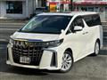 2021 Toyota Alphard G