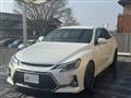 2010 Toyota Mark X