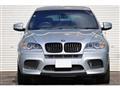 2009 BMW X6