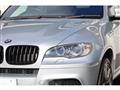 2009 BMW X6