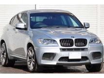 2009 BMW X6