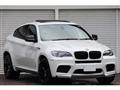 2010 BMW X6