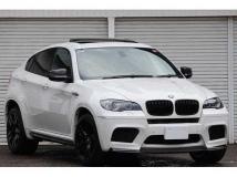 2010 BMW X6