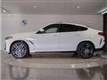 2025 BMW X6