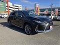 2021 Lexus RX