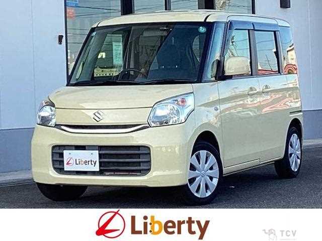 2017 Suzuki Suzuki Others