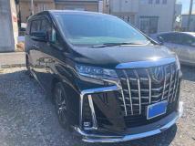 2022 Toyota Alphard G