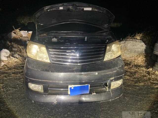 2004 Toyota Alphard G