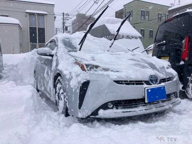 2019 Toyota Prius