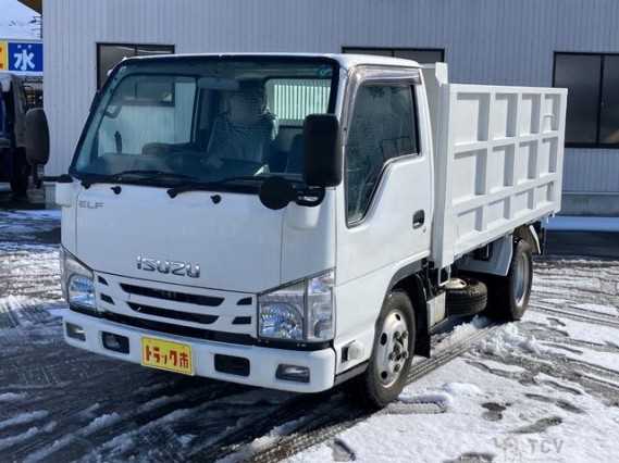 2020 Isuzu Elf Truck
