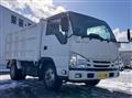 2020 Isuzu Elf Truck