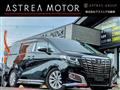 2015 Toyota Alphard G