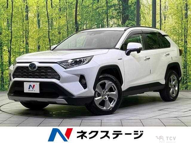 2019 Toyota RAV4