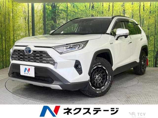 2019 Toyota RAV4