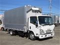 2019 Isuzu Elf Truck