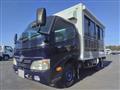 2009 Toyota Dyna Truck