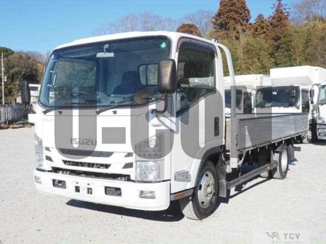 2019 Isuzu Elf Truck