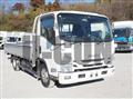 2019 Isuzu Elf Truck
