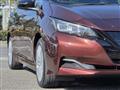 2021 Nissan Leaf